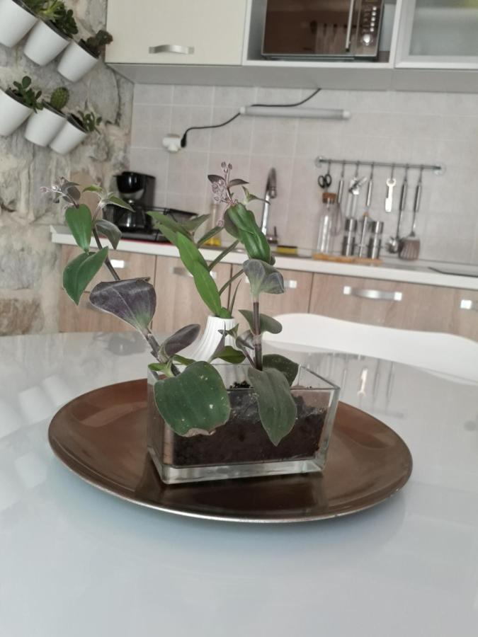 Leut Apartment 코츌라 외부 사진